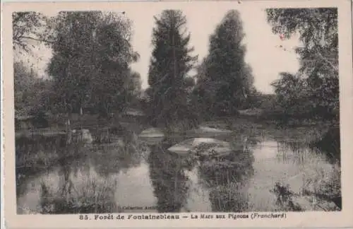 Frankreich - Frankreich - Fontainebleau - Le Mare aux Pigeons - ca. 1955