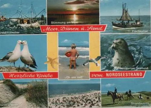 Nordsee - Meer, Dünen und Sand