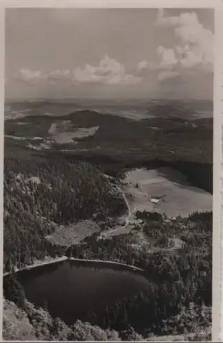 Feldsee - Blick v. Seebuck - ca. 1960