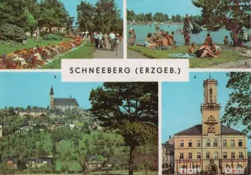 Schneeberg - u.a. Filzteich - 1972