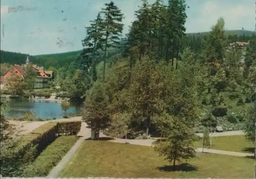 Braunlage - Kurpark mit Blick auf Gondelteich - 1964