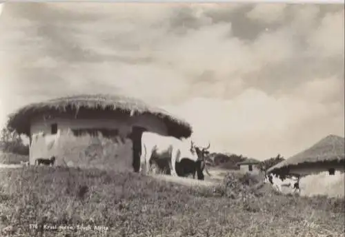 Südafrika - Südafrika - Südafrika - Kraal scene