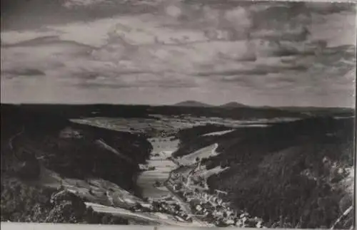 Schleusingerneundorf (OT von Nahetal-Waldau)			 - Blick auf den Ort