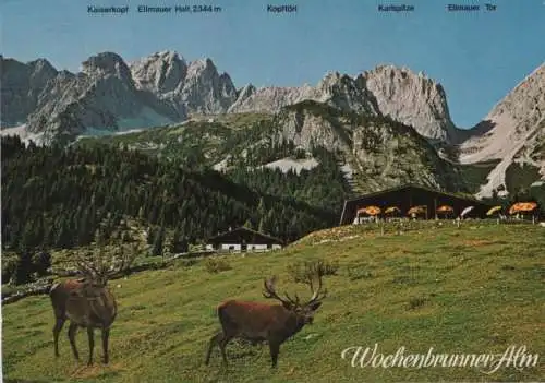 Österreich - Österreich - Ellmau - Wochenbrunner Alm - ca. 1980