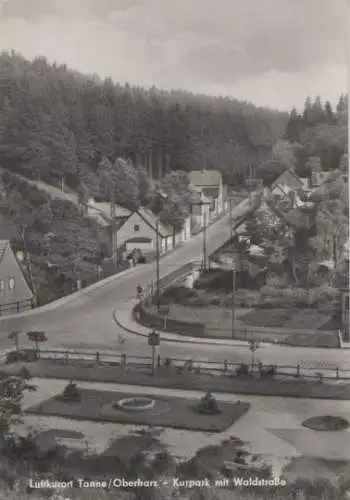 Tanne Oberharz - Waldstraße - 1965