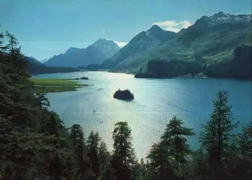 Schweiz - Silsersee - Schweiz - Sommertag