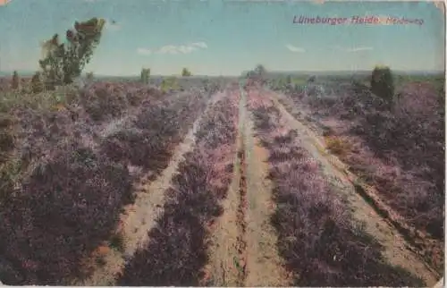 Lüneburger Heide - Heideweg - ca. 1925