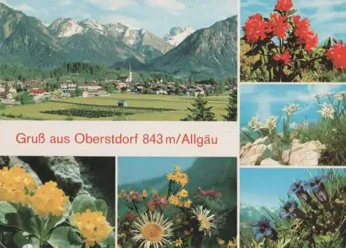 Oberstdorf - Blumen - 1975