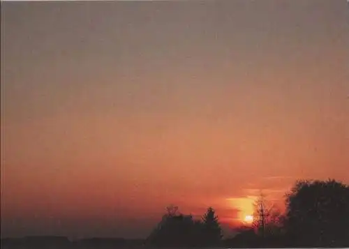 Sonnenuntergang Bäume