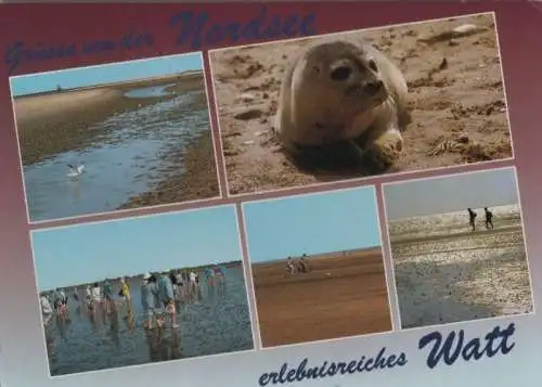 Nordsee - erlebnisreiches Watt - 1990