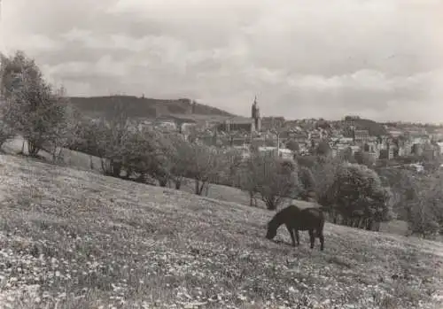 Annaberg-Buchholz - Blick zum Pöhlberg - 1975