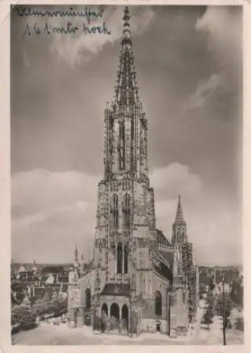 Ulm a.d. Donau - Münster - 1951