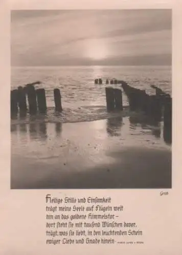 Stille am Meer - ca. 1955