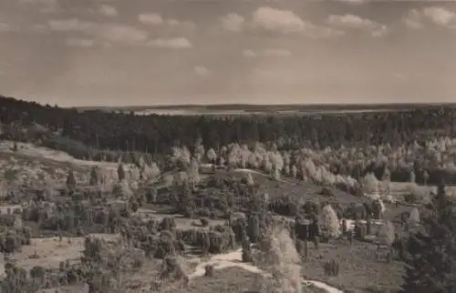 Walsrode - Lüneburger Heide - Wilsede Park - ca. 1955