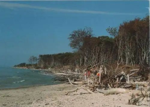 Darß - Weststrand - ca. 1995