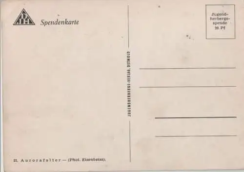 Autotafalter an Blüte