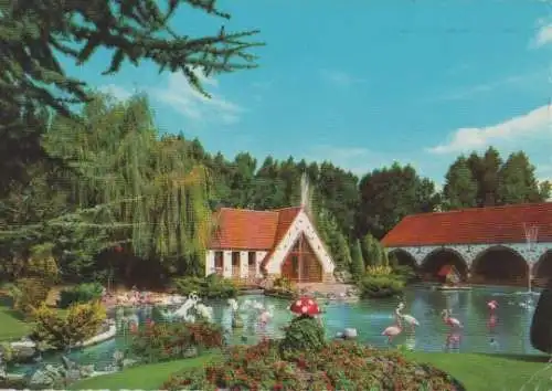 Belgien - Belgien - De Panne - Flamingo-Park - 1965