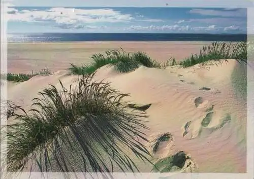 Amrum - Dünen und Strand - 2013