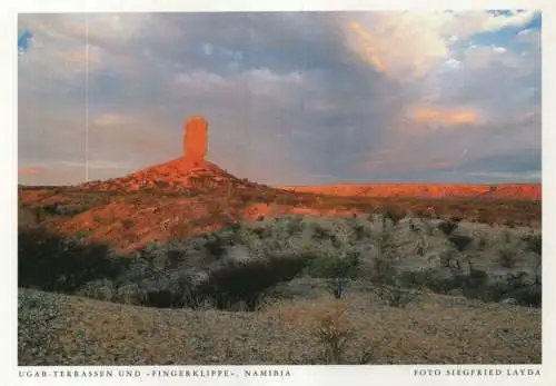 Namibia - Namibia - Namibia - Ugab-Terrassen und Fingerklippe