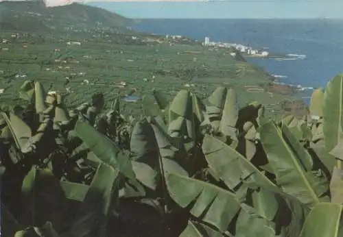 Spanien - Spanien - Teneriffa - Orotava - ca. 1975