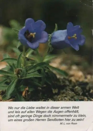 Wo nur die Liebe waltet Sinnspruch