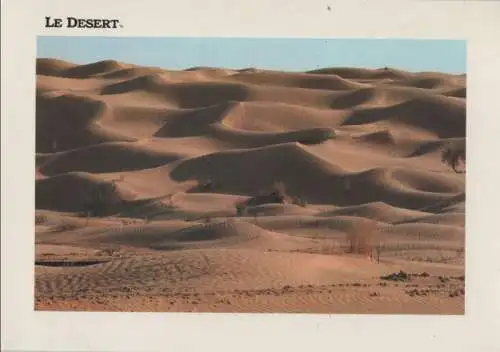 Tunesien - Tunesien - Sahara - Desert - ca. 1985