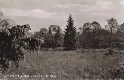 Holzminden-Neuhaus - Torfmoor