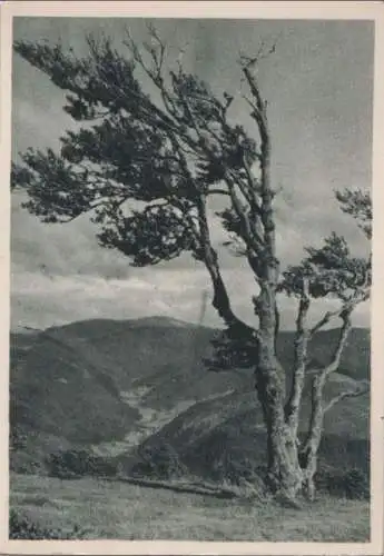 Schauinsland (Berg) - ca. 1950