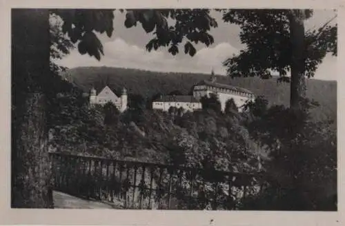 Schwarzburg - Schloss von der Kur-Promenade