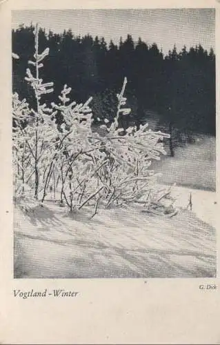 Vogtland - Winter - ca. 1960