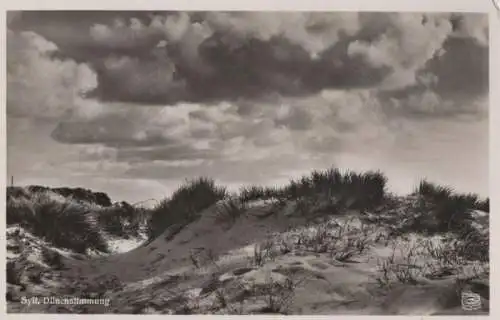 Sylt - Dünenstimmung - ca. 1960