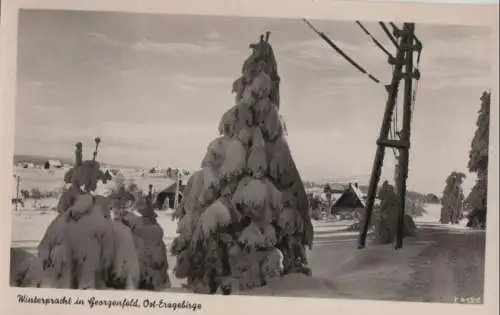 Georgenfeldinterpracht - ca. 1960