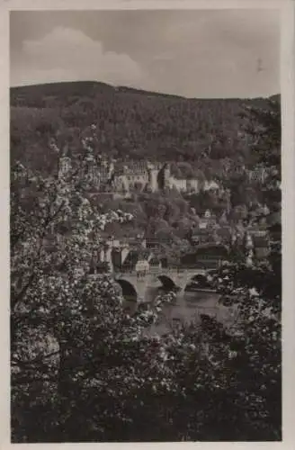 Heidelberg - im Blütenschmuck - 1931