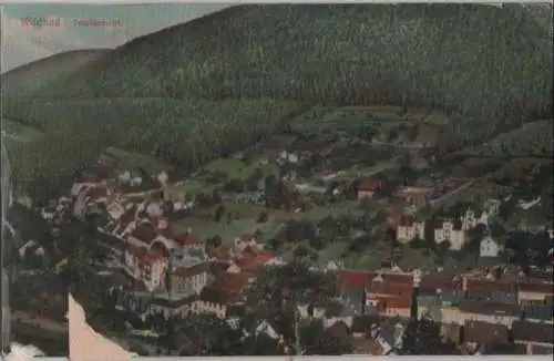 Bad Wildbad - Totalansicht - ca. 1935