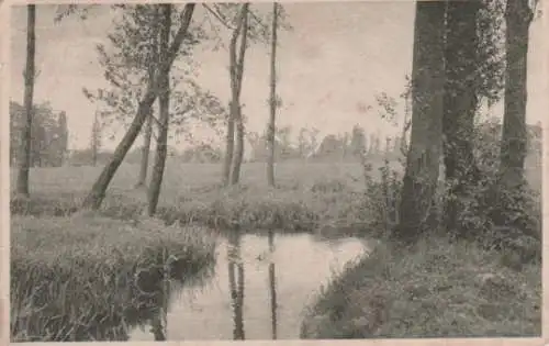 Bach im Wald - 1919