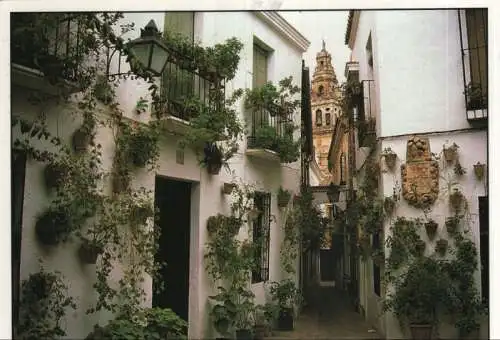 Spanien - Cordoba - Spanien - Calle de las Flores