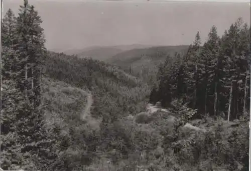 Altenberg-Bärenburg - Blick in den Langen Grund