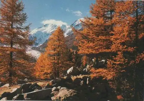 Herbstwald im Gebirge - ca. 1980