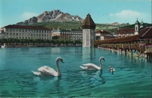 Schweiz - Schweiz - Luzern - Kapellbrücke und Pilatus - ca. 1965