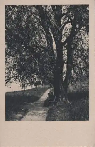 Müde Wanderer am Baum - ca. 1955