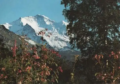 Schweiz - Schweiz - Wengen - Jungfrau - ca. 1980