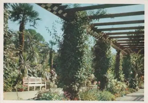 Palmengarten in Bad Pyrmont - ca. 1975