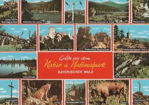 Bayerischer Wald - u.a. Am Kohlschachten - ca. 1980