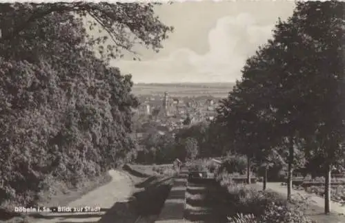 Döbeln - Blick zur Stadt