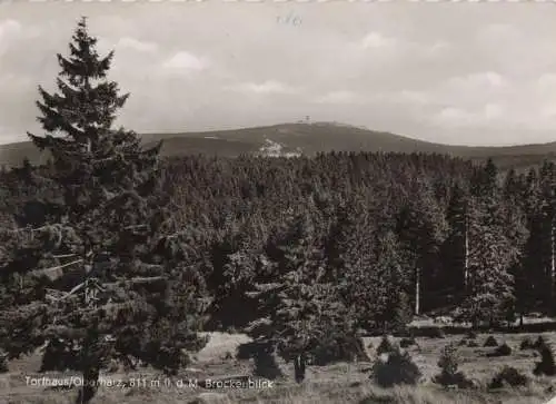 Altenau-Torfhaus - Brockenblick