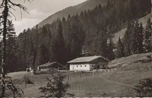 Inzell - Kaitlalm am Rauschberg