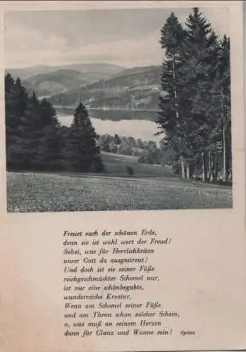 Waldlandschaft am See - ca. 1935