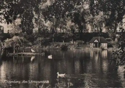 Wittenberg - am Schwanenteich