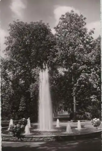 Bad Mergentheim - Im Kurpark - 1962