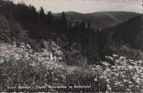 Altenberg-Bärenfels - Sommerblick ins Weißeritztal - 1960